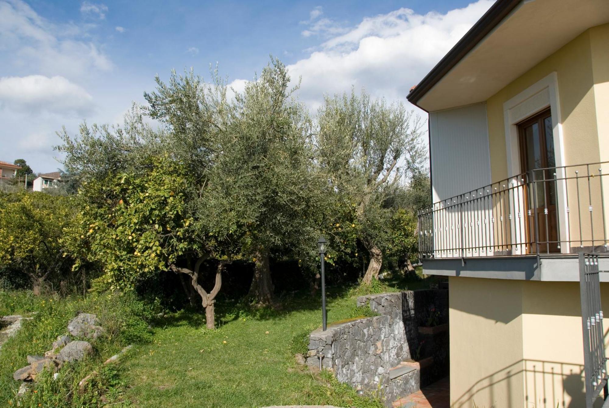 Biologico Dell'etna Trecastagni