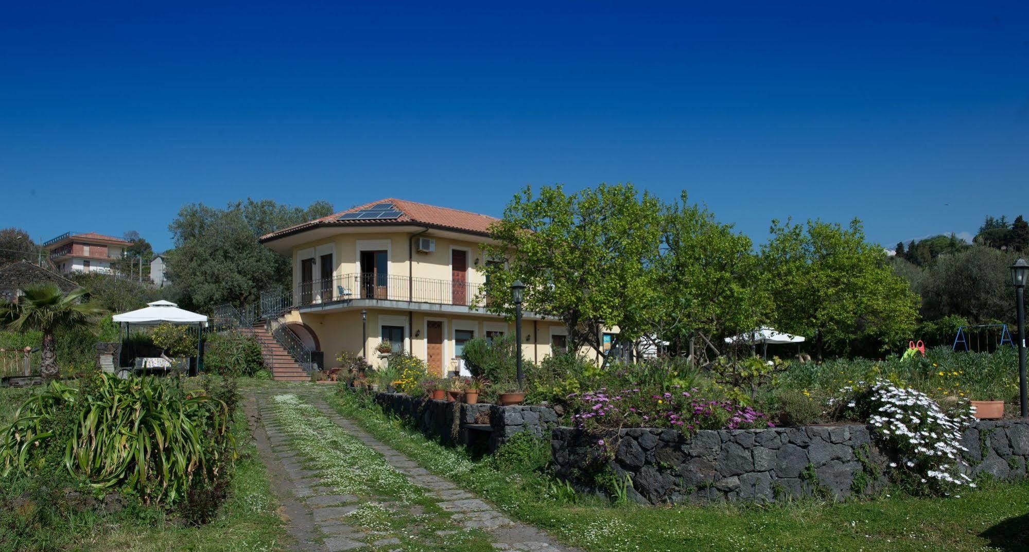 Biologico Dell'etna *